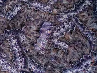 Аметист Amethyst Medium